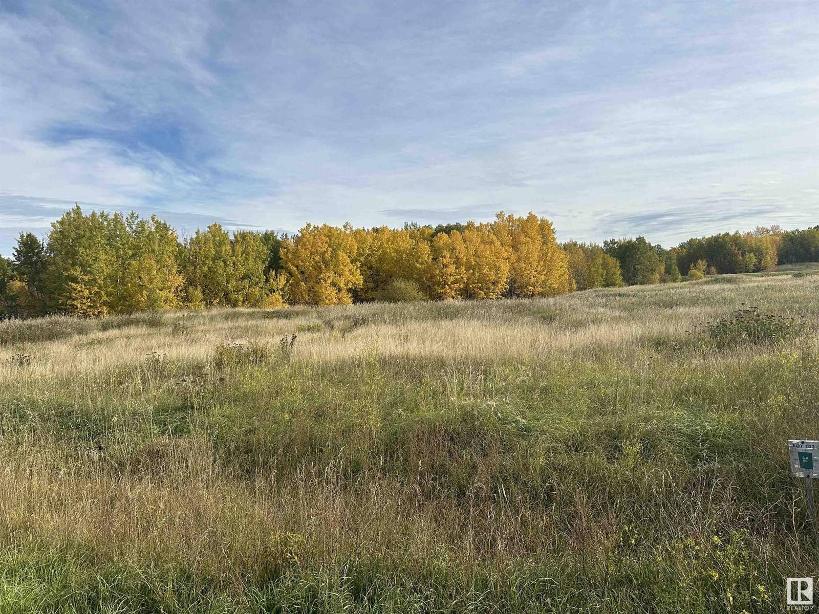 Rural Lac Ste. Anne County, AB T0E0J0,54419 RGE ROAD 14
