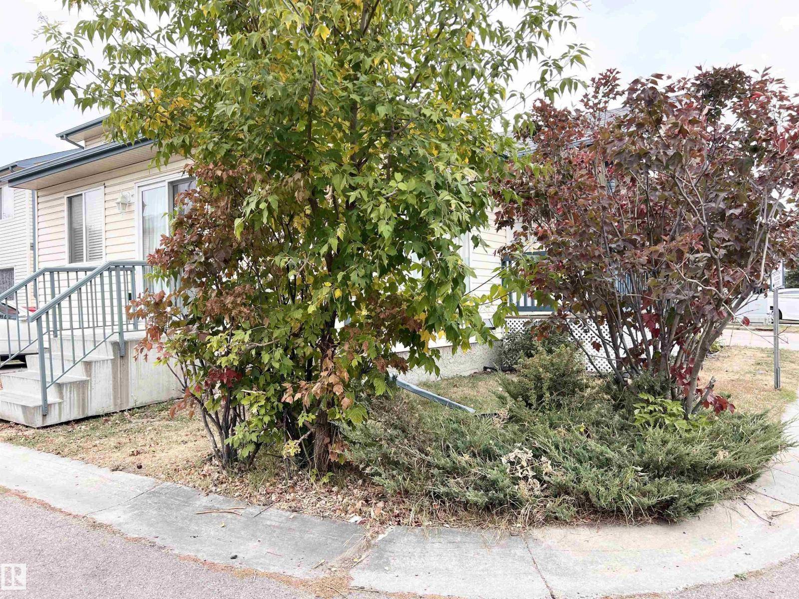 Edmonton, AB T5H4M7,#19 10909 106 ST NW