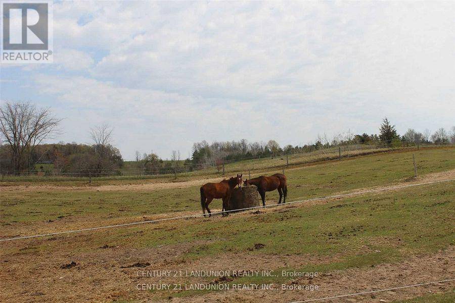 East Gwillimbury (mt Albert), ON L0G1M0,5031 HERALD ROAD