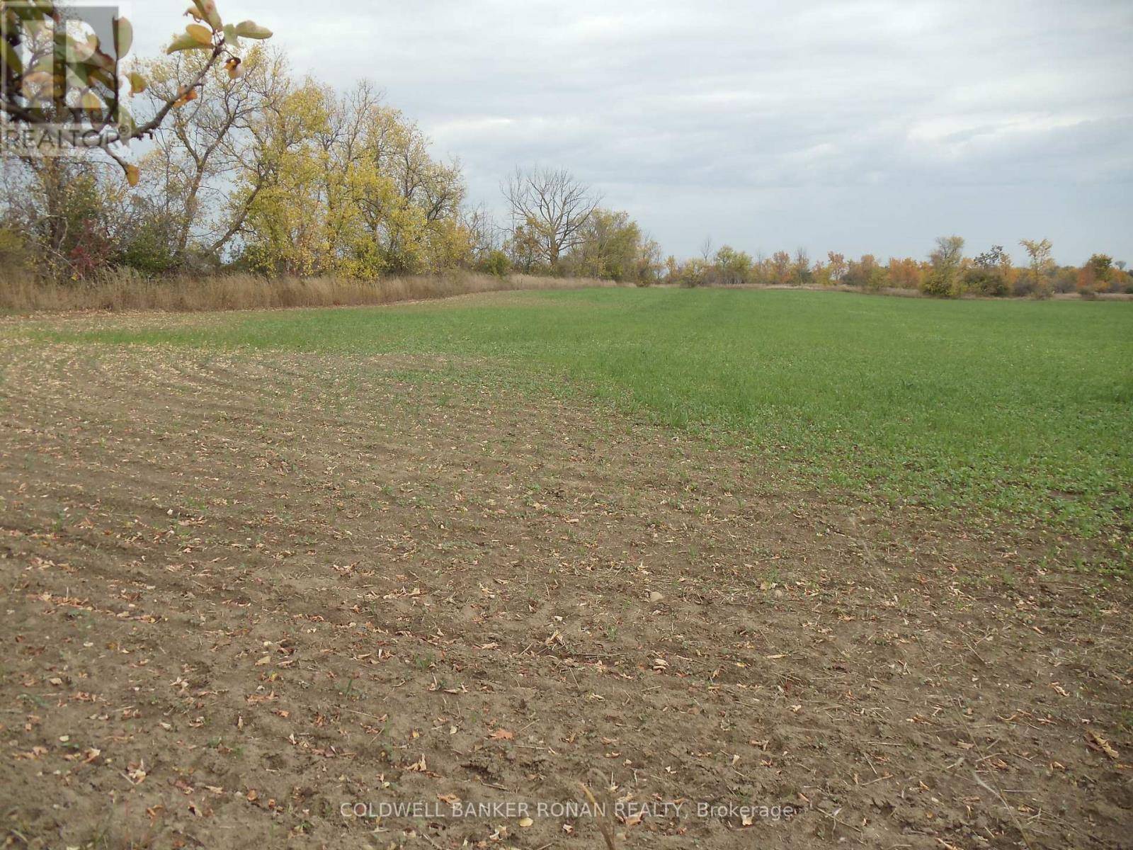 Adjala-tosorontio, ON L0G1L0,3873 CONCESSION RD 3