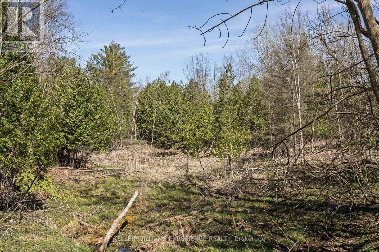 Essa, ON L4N9C4,8294 COUNTY RD 27