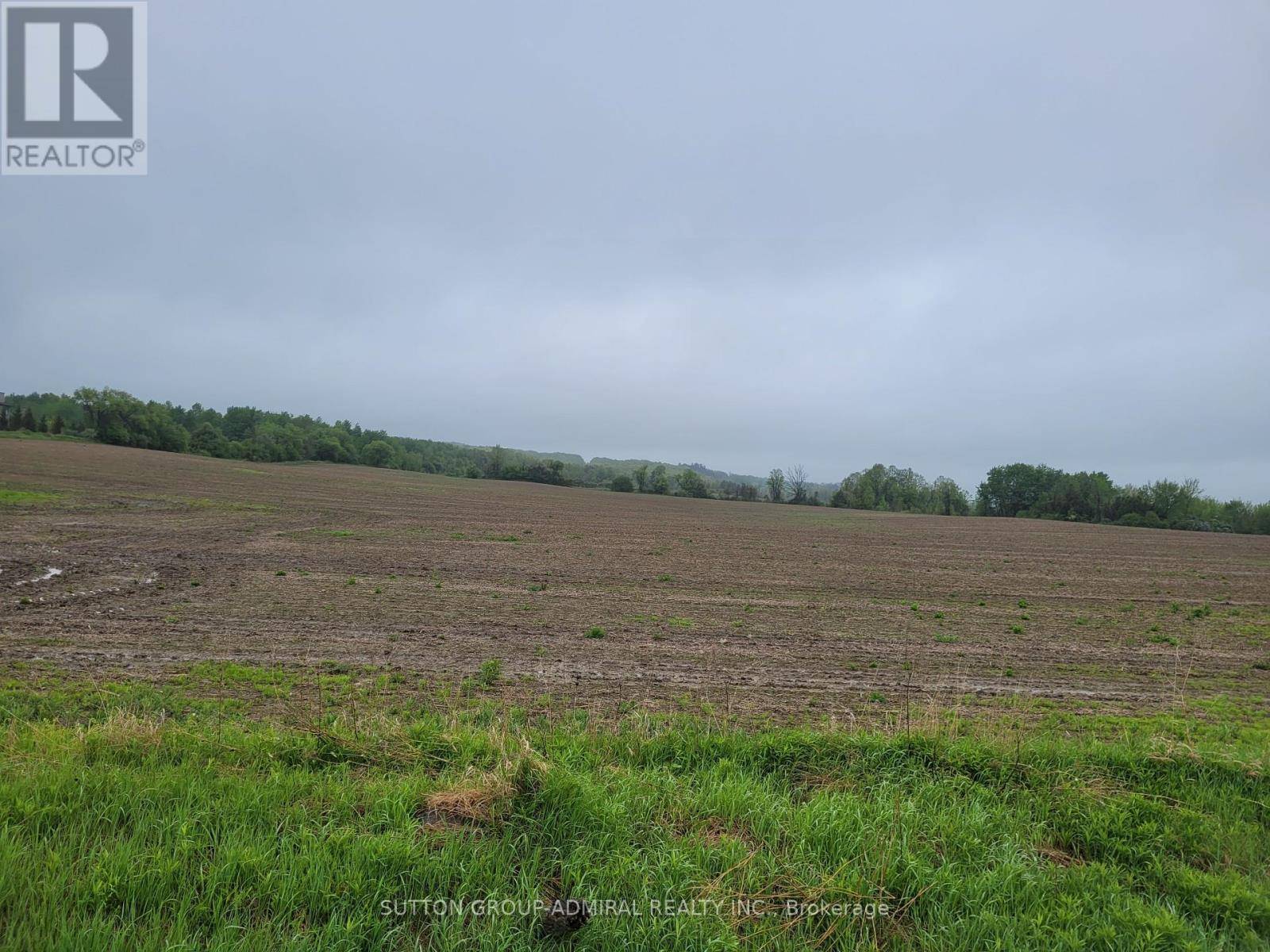 King (schomberg), ON L0G1T0,4860 18TH SIDE ROAD