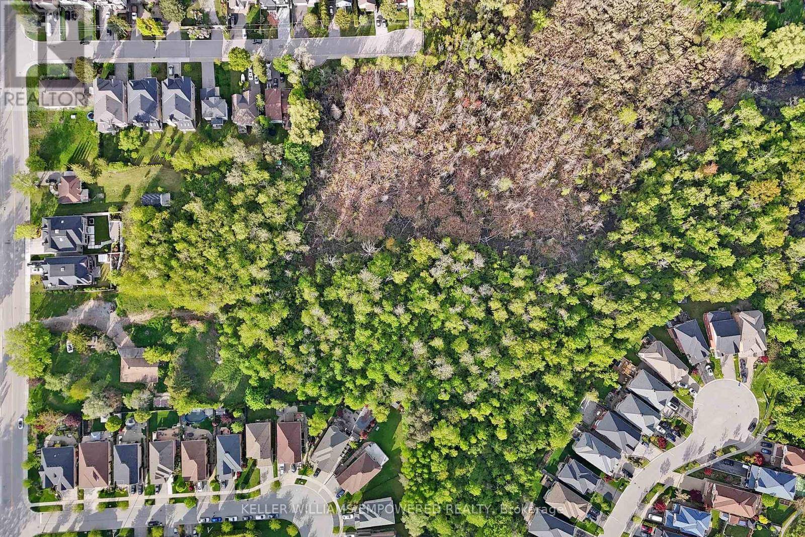 Richmond Hill (oak Ridges Lake Wilcox), ON L4E3E7,69 SNIVELY STREET