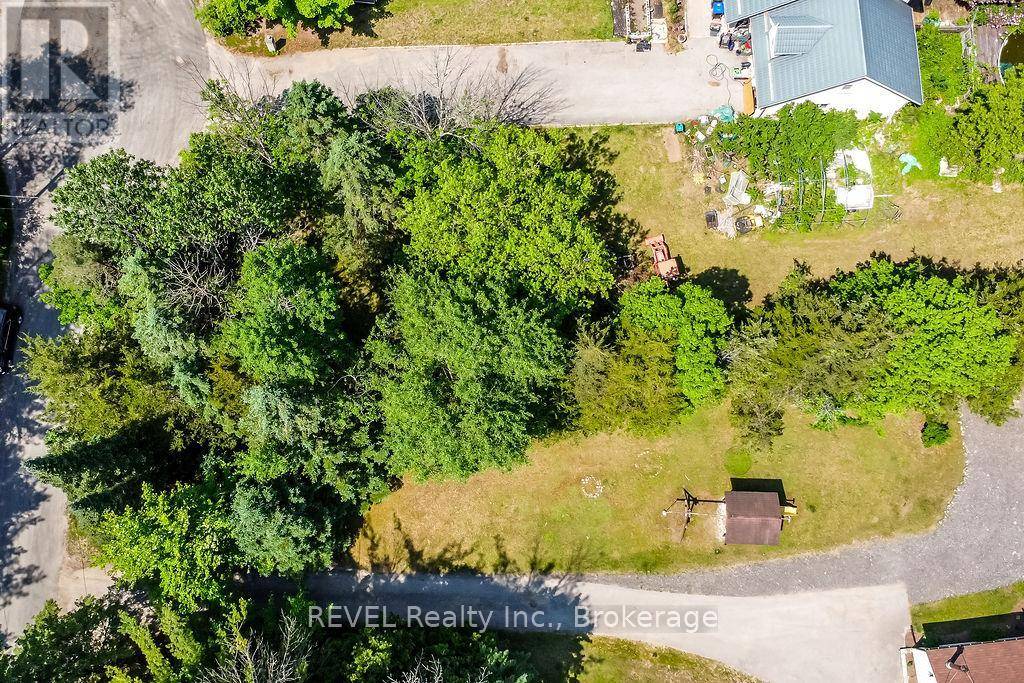 Essa (angus), ON L0M1B2,27B PINE RIVER ROAD