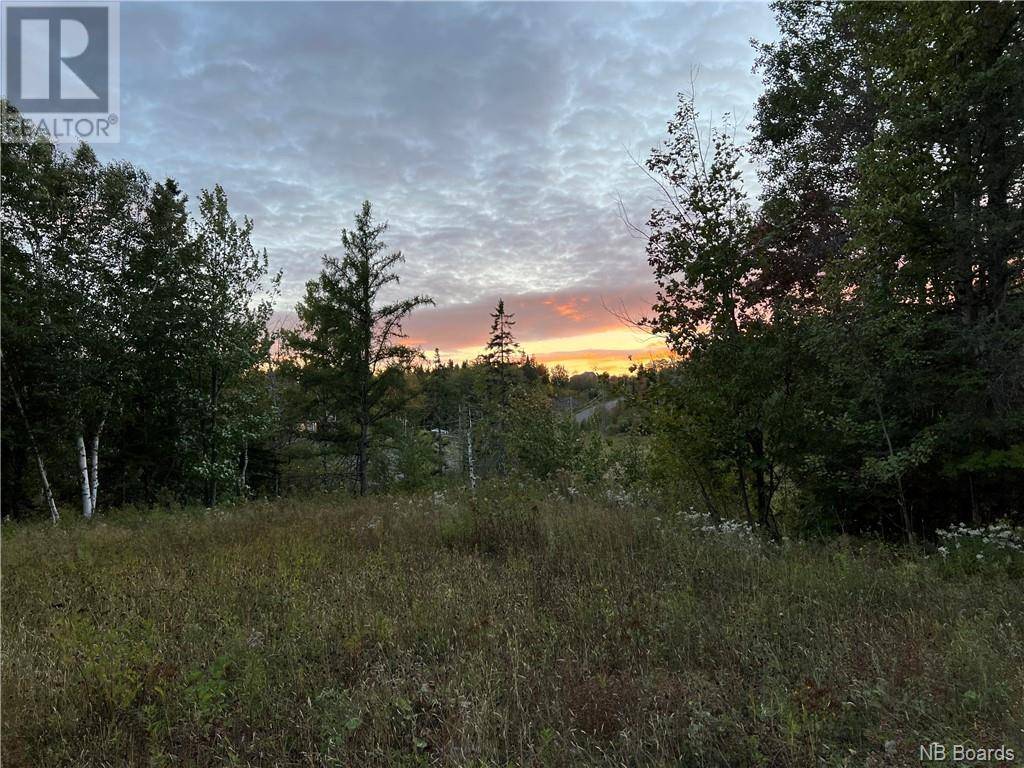 Edmundston, NB E3V0G8,Lot 115 Rue de la Falaise