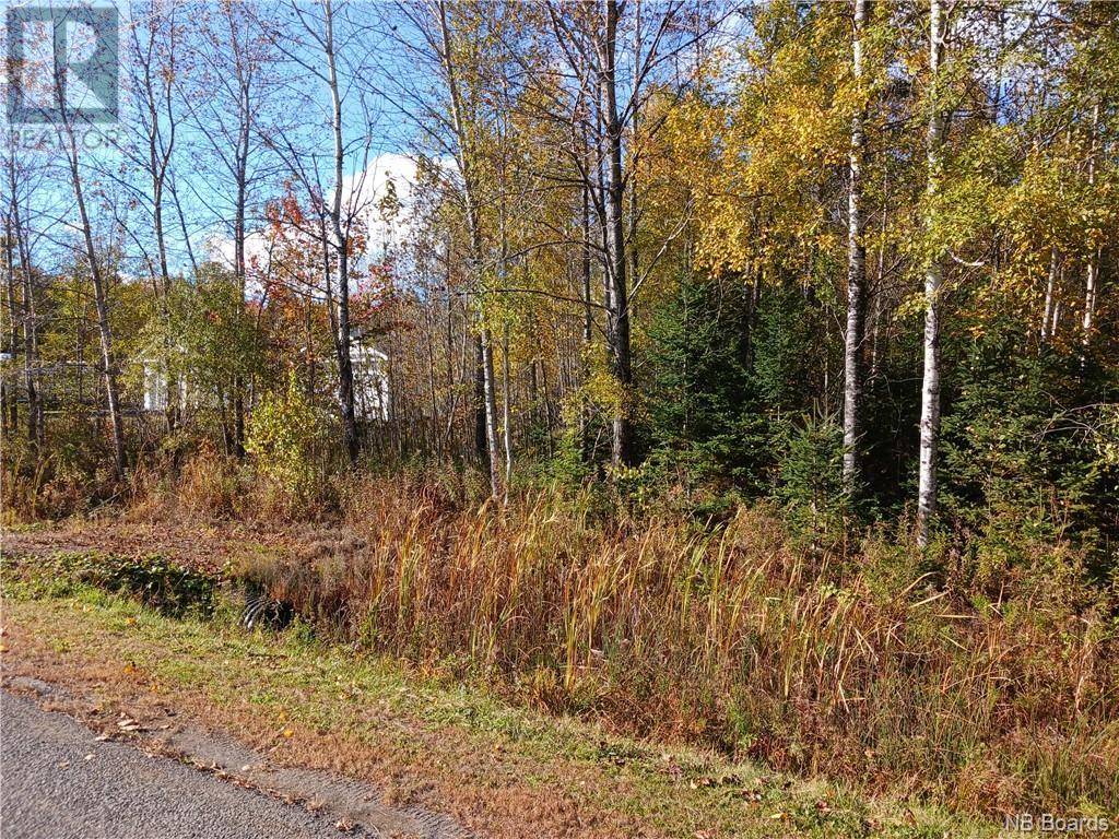 Lower Woodstock, NB E7M4E6,Lot 87-65 Beatty Drive