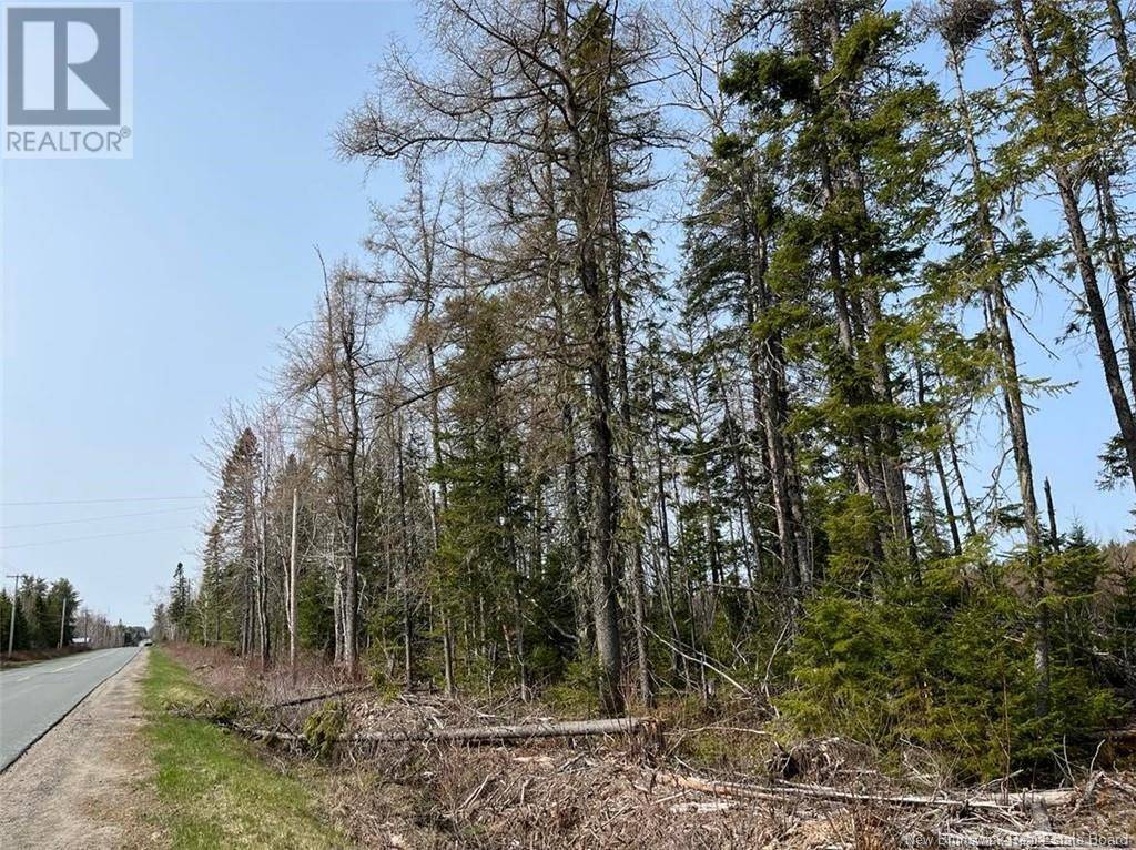 Miramichi, NB E1V0H9,Lot 03 Beaverbrook Road