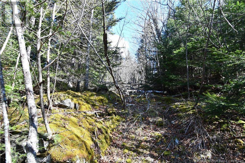 Wilsons Beach, NB E5E1M3,88-106 Bunker Hill Drive