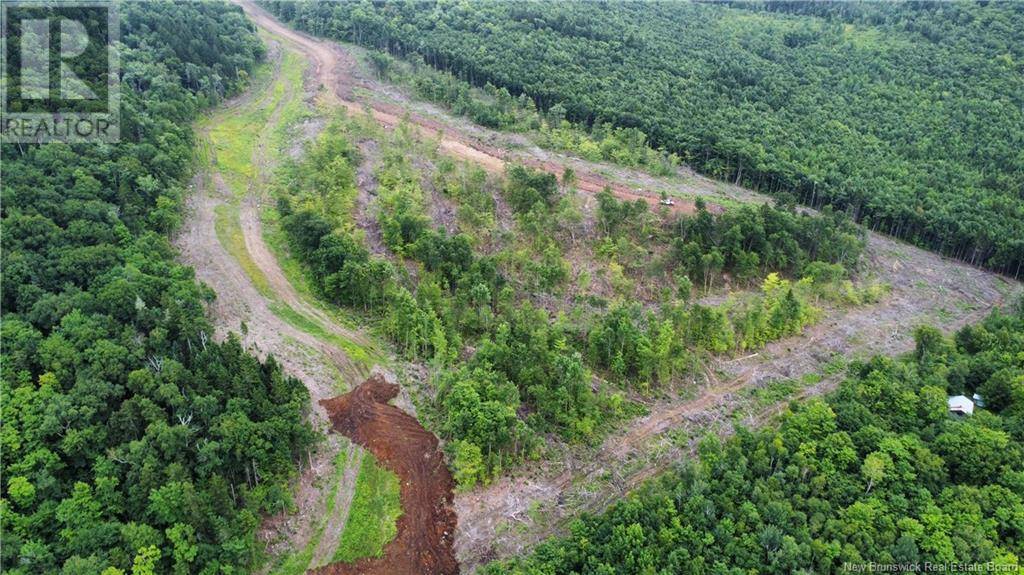 Central Hainesville, NB E6E1E3,Lot 22 Crabbe Mountain