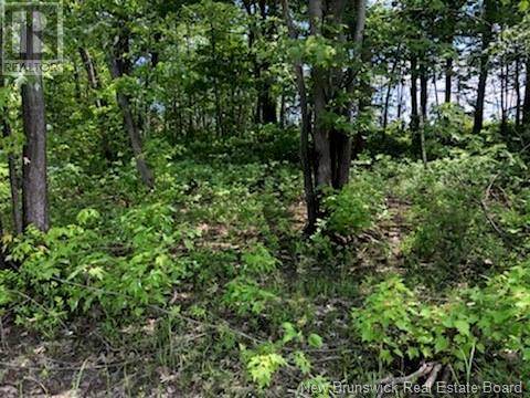 Cumberland Bay, NB O0O0O0,Vacant Lot Route 10