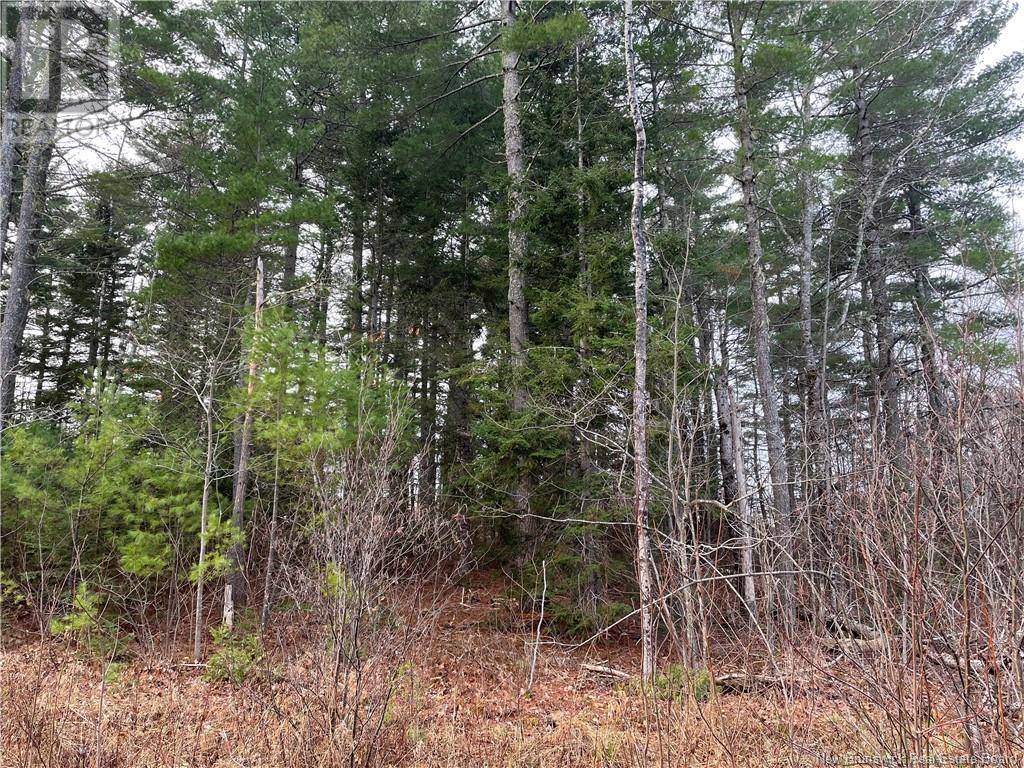 Youngs Cove, NB E4C2C2,Lot 1 Route 105