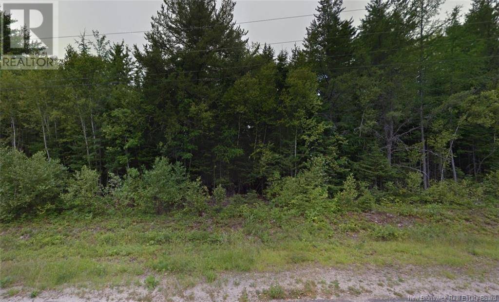 Miramichi, NB E1V5X1,1.07 Acres Gray Street