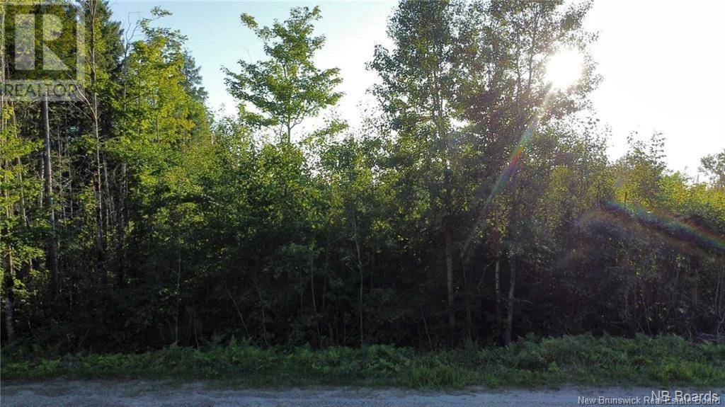 Stanley, NB E6B1M7,lot 6 Tay Falls Road