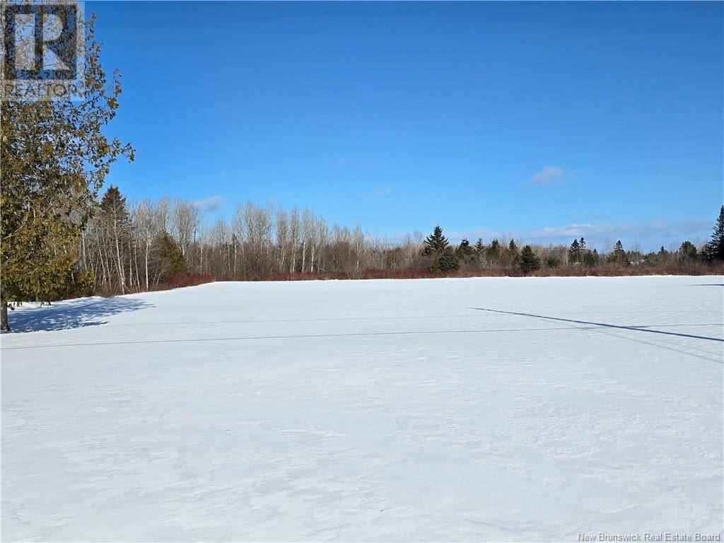 Petit-rocher, NB E8J1A2,23 Frederic Street