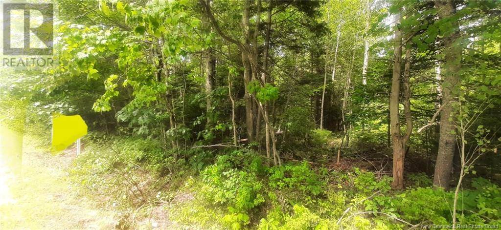 Gagetown, NB E5M1J9,Lot 24-2 Route 102