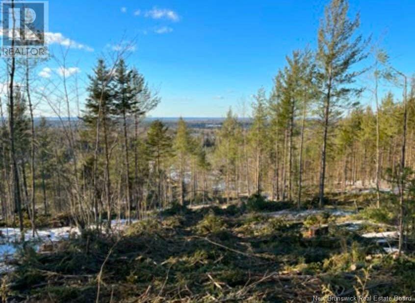 Cumberland Bay, NB E4A3E3,Lot Cumberland Bay South Road