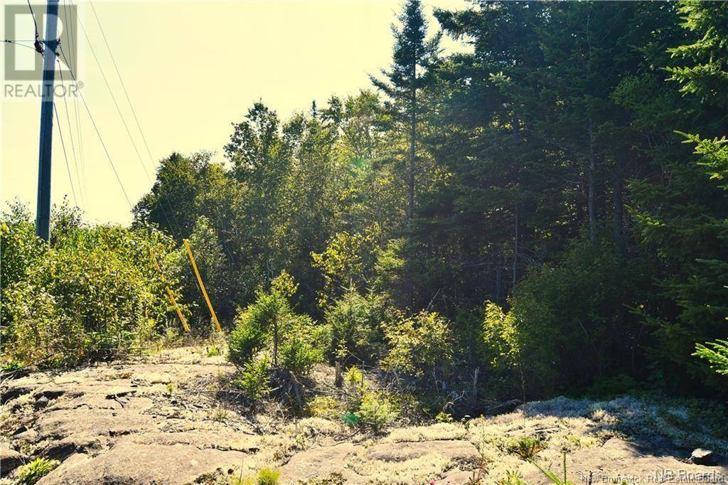 Wilsons Beach, NB E5E1X2,Lot 86-125 Fundy Drive