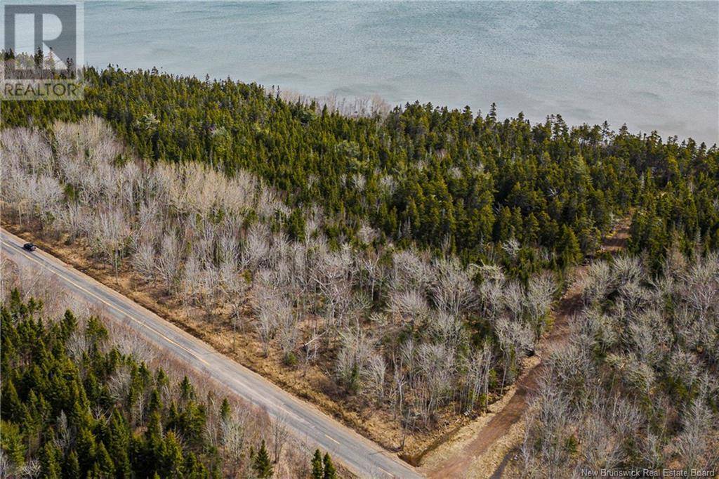 Upper Cape, NB E4M2S4,Lot 24-1 Route 960
