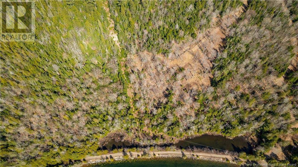Chamcook, NB E5B0C3,Lot 2021-01 and 02 Frye Road