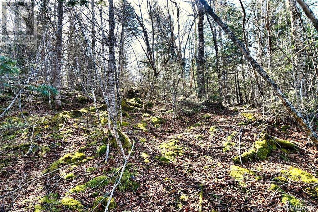 Wilsons Beach, NB E5E1M3,Lot 88-109 Bunker Hill Road