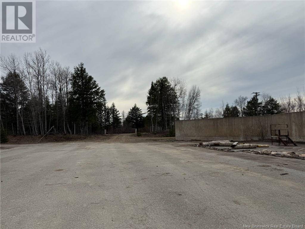 Blackville, NB E1V6A3,50 Acres Main Street
