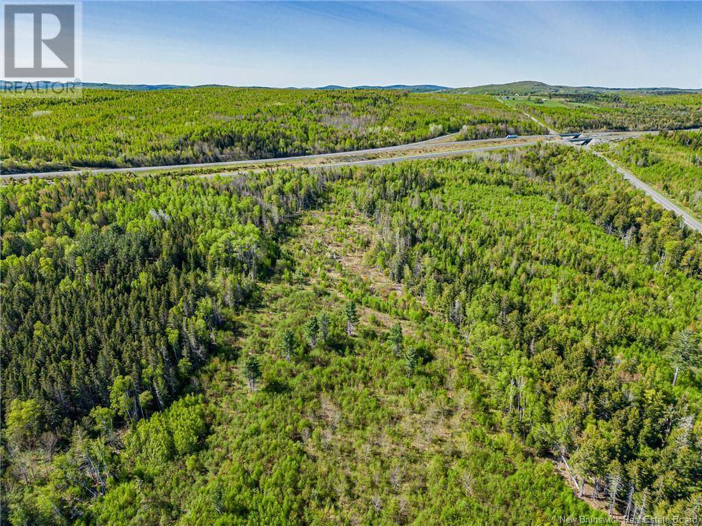 Nackawic, NB E6H1G8,Land Old 2 Highway