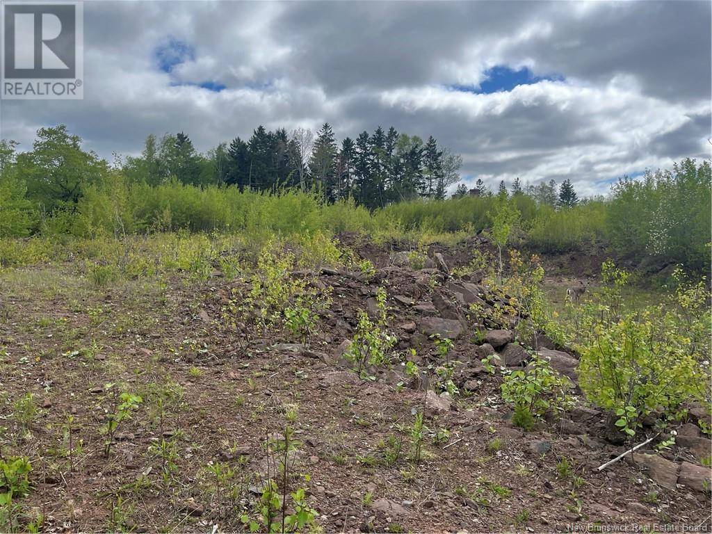 Hampton, NB E5N5P2,96 Hilltop Drive