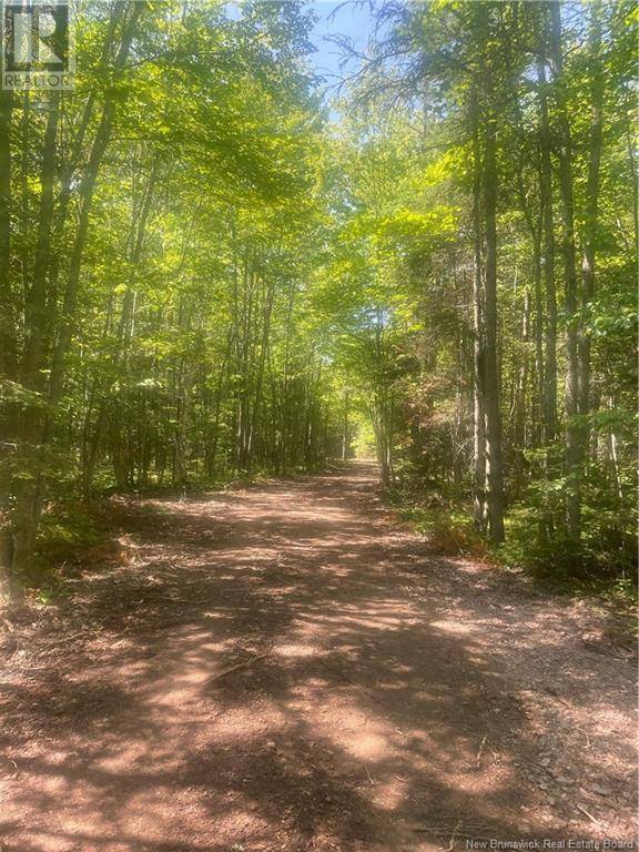 Cumberland Bay, NB E4A2Y8,Lot 24-1 Cox Point Road