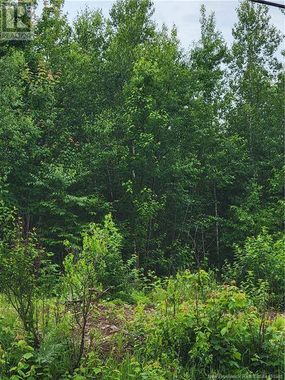 Cumberland Bay, NB E4A3A3,Lot 5 Route 10
