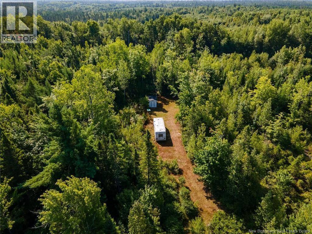 Adamsville, NB E4T2G9,1620 Saint-Sosime Road