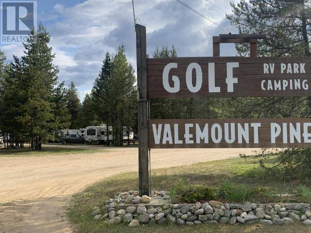 Valemount, BC V0E2Z0,1125 N 5 HIGHWAY