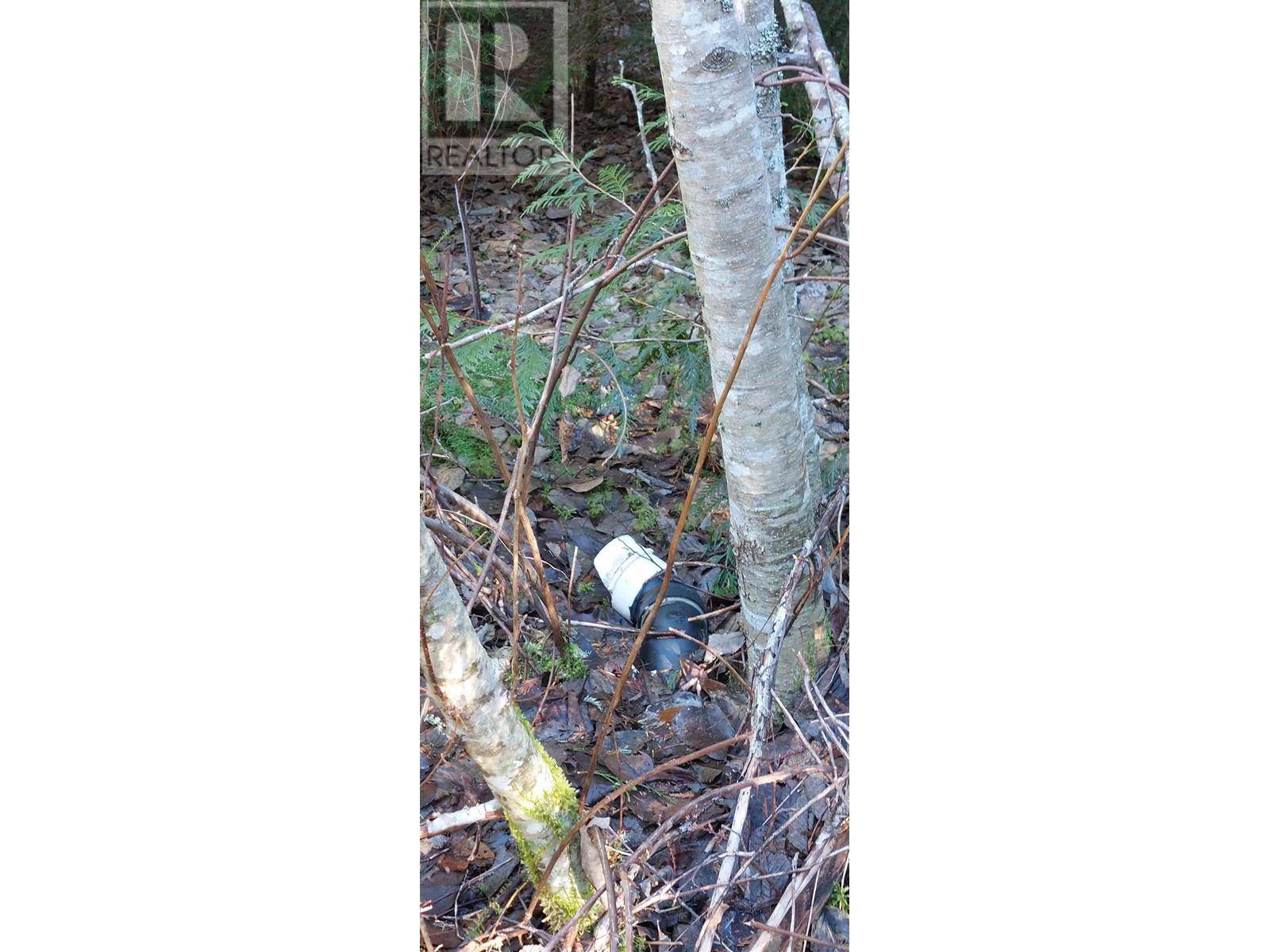 Bella Coola, BC V0T1H0,18 MACKENZIE 20 HWY #LOT
