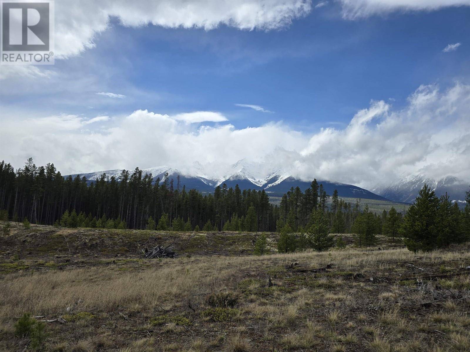 Valemount, BC V0E2Z0,LOT 2 N 5 HIGHWAY