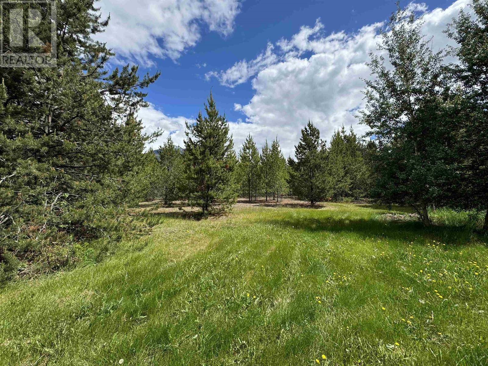 Valemount, BC V0E2Z0,LOT 2 STARVIEW ROAD