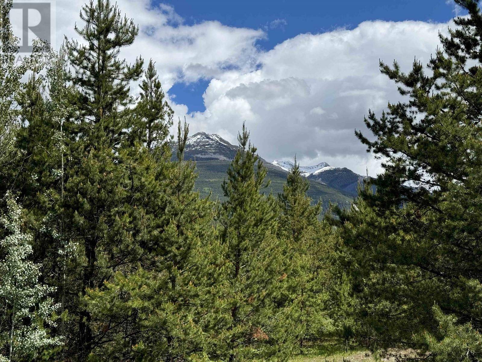 Valemount, BC V0E2Z0,LOT 2 STARVIEW ROAD