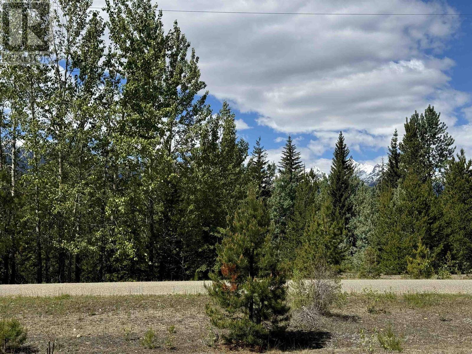 Valemount, BC V0E2Z0,LOT 3 STARVIEW ROAD