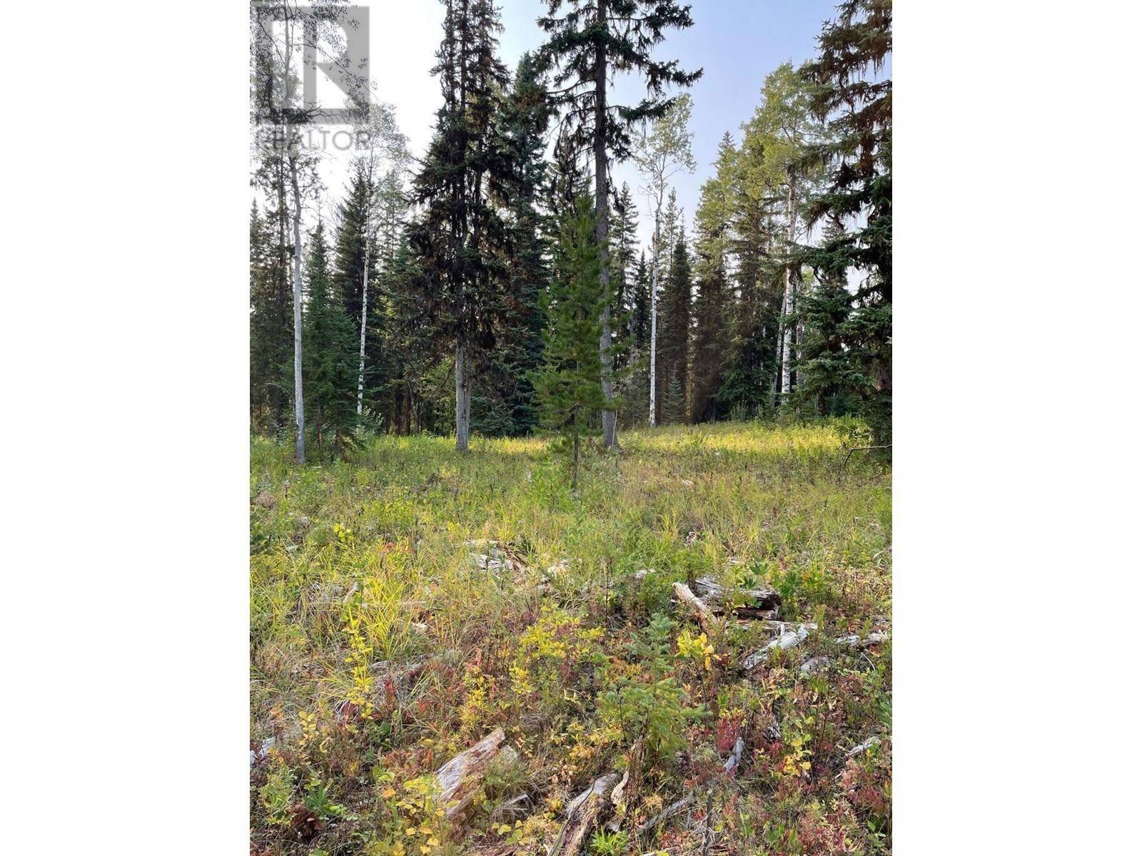 Prince George, BC V2N6V2,8120 GISCOME ROAD