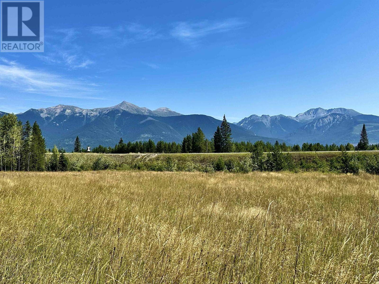 Valemount, BC V0E2Z0,1 5 HWY #LOT