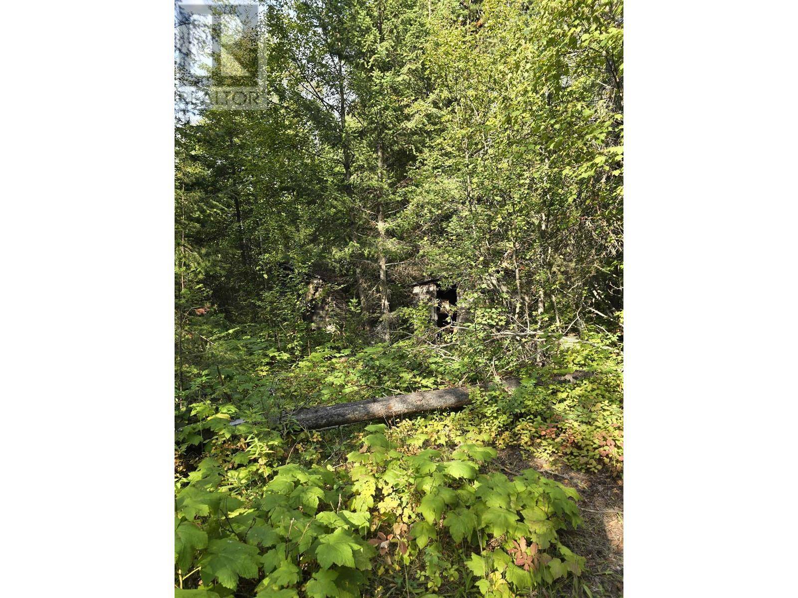 Valemount, BC V0E2Z0,11328 E 16 HIGHWAY