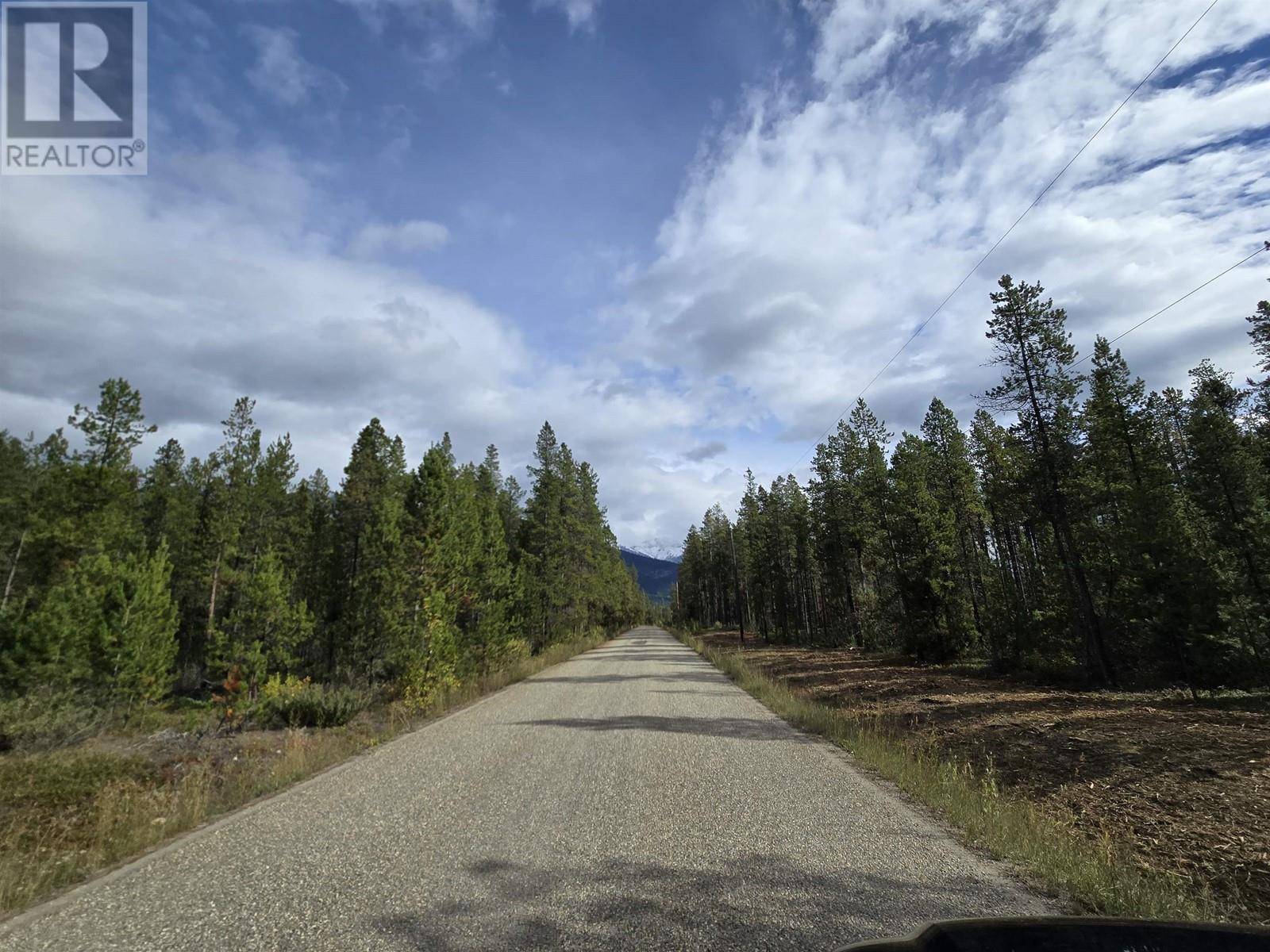 Valemount, BC V0E2Z0,2350 BAILEY ROAD