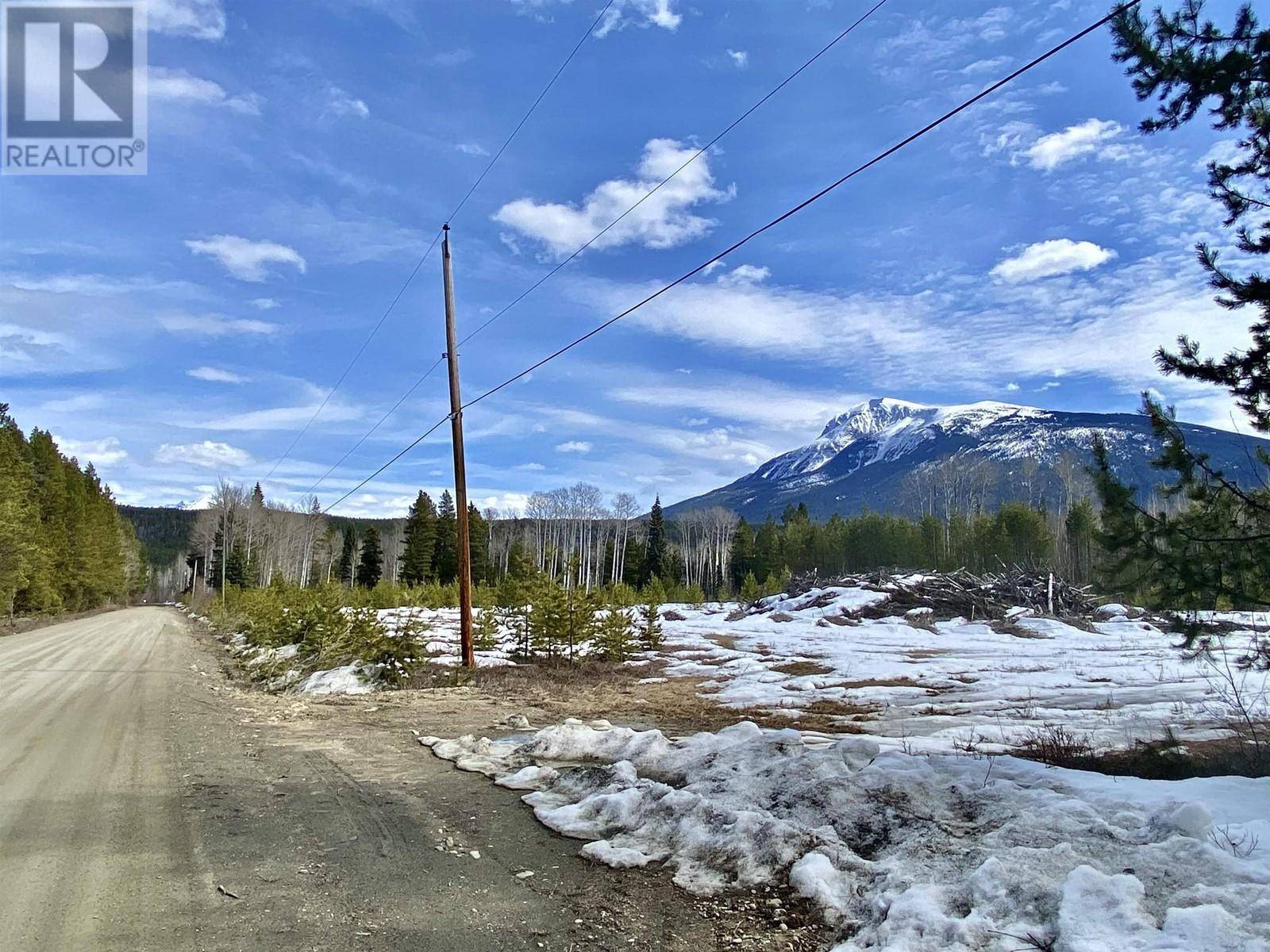 Valemount, BC V0E2Z0,185 SUNNYVIEW ROAD