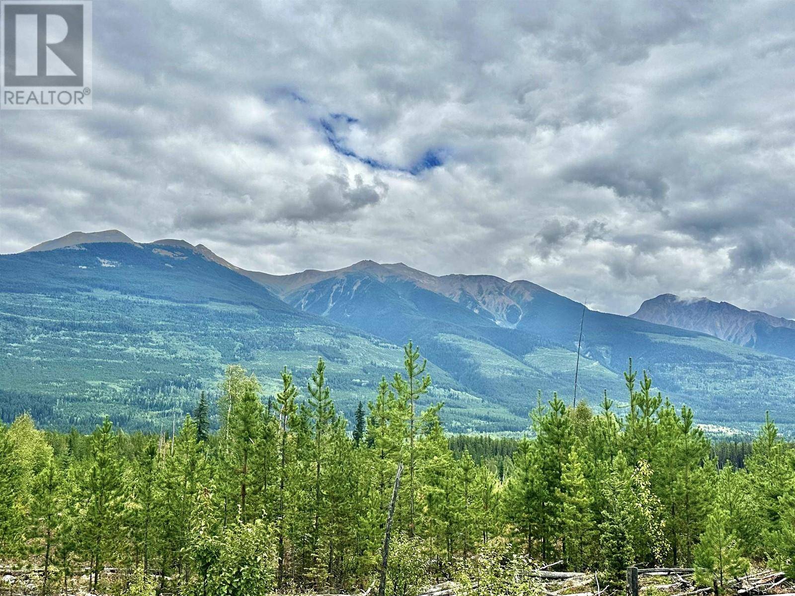 Valemount, BC V0E2Z0,SHERE LAKE ROAD