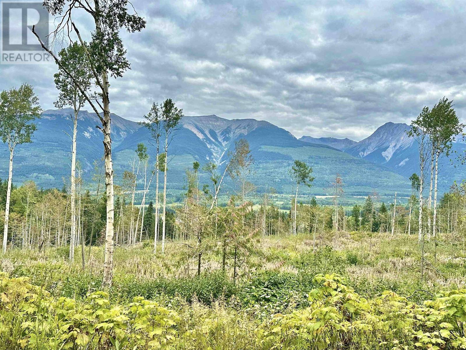 Valemount, BC V0E2Z0,SHERE LAKE ROAD