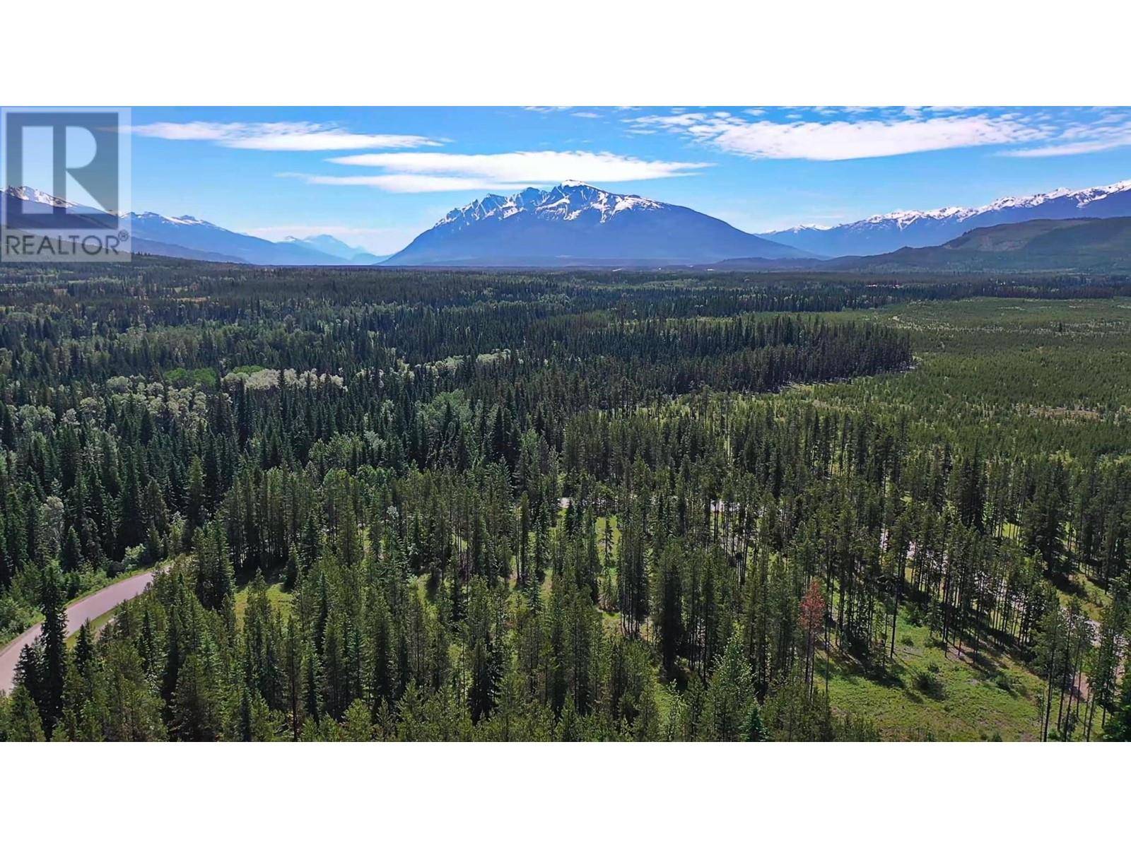 Valemount, BC V0E2Z0,4 CROOKED CREEK RD #LOT