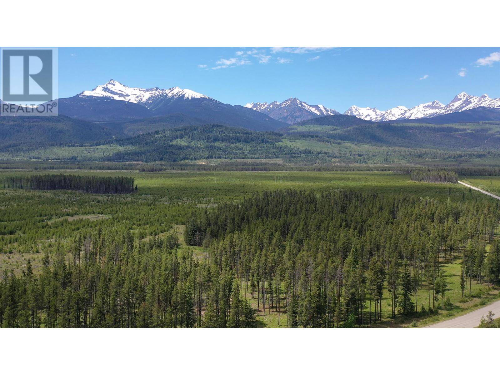 Valemount, BC V0E2Z0,5702 CROOKED CREEK RD #DL