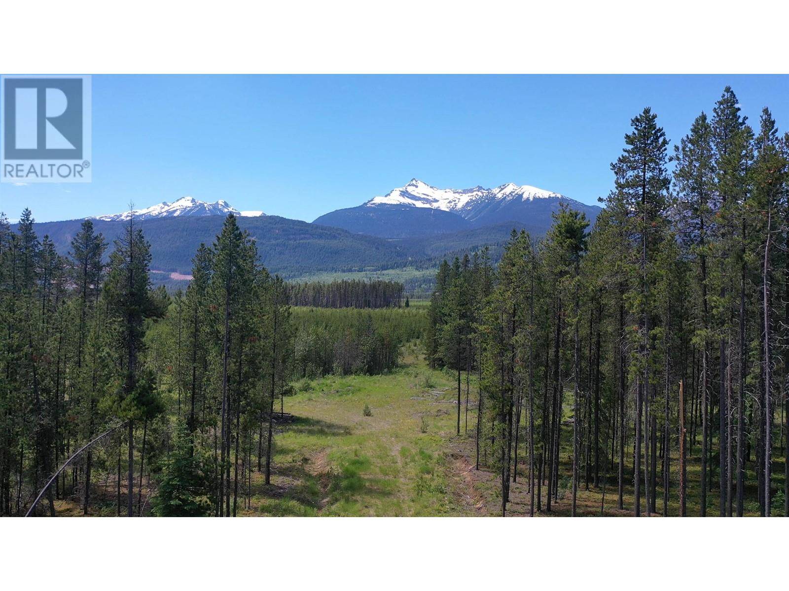 Valemount, BC V0E2Z0,5702 CROOKED CREEK RD #DL