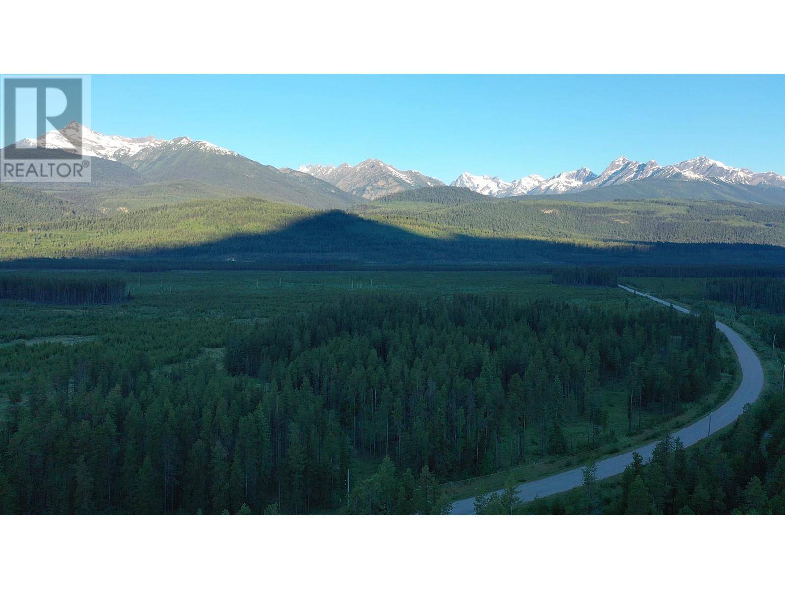 Valemount, BC V0E2Z0,5702 CROOKED CREEK RD #DL