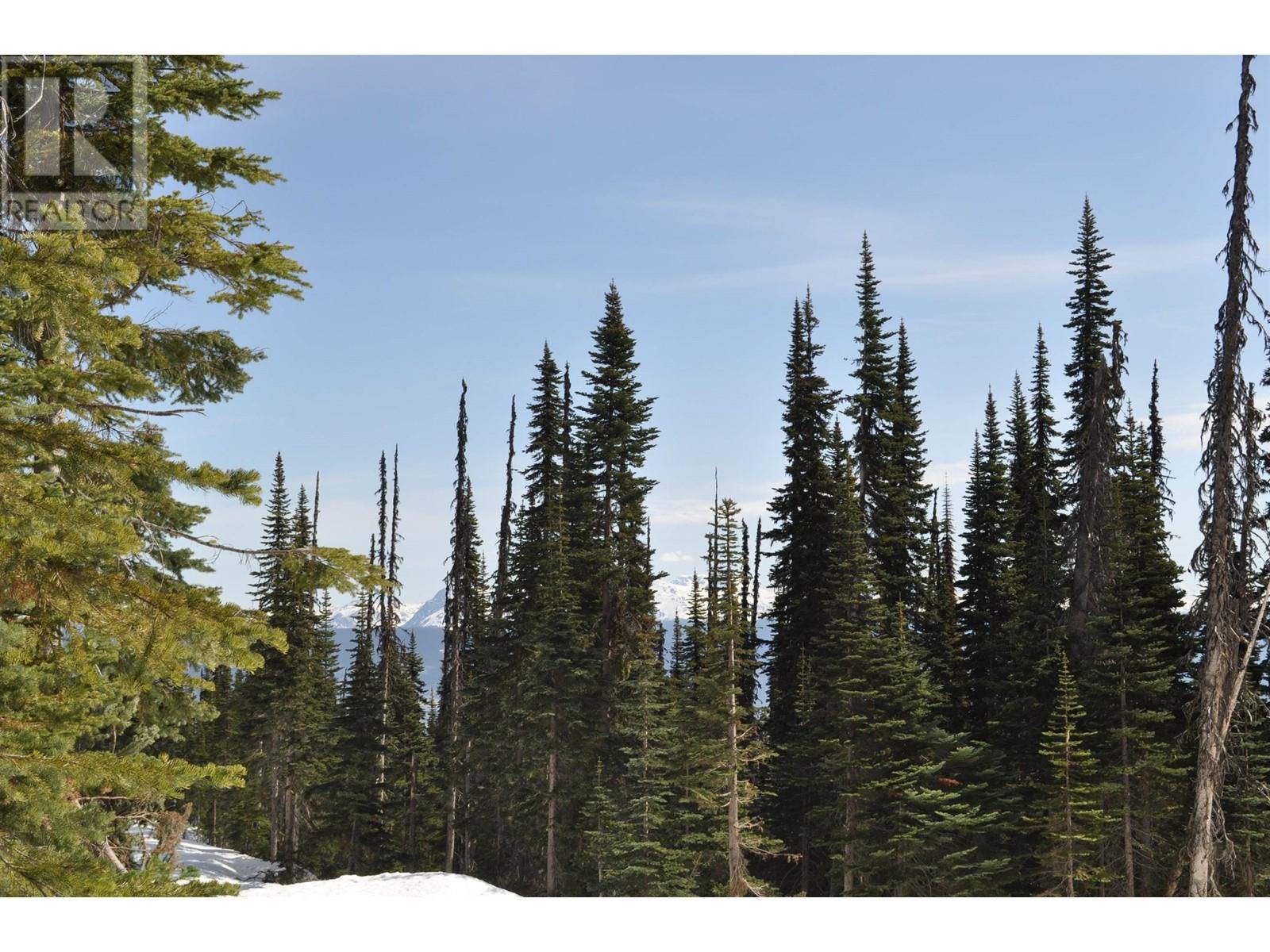 Smithers, BC V0J2N0,7 ALPINE WAY #PST