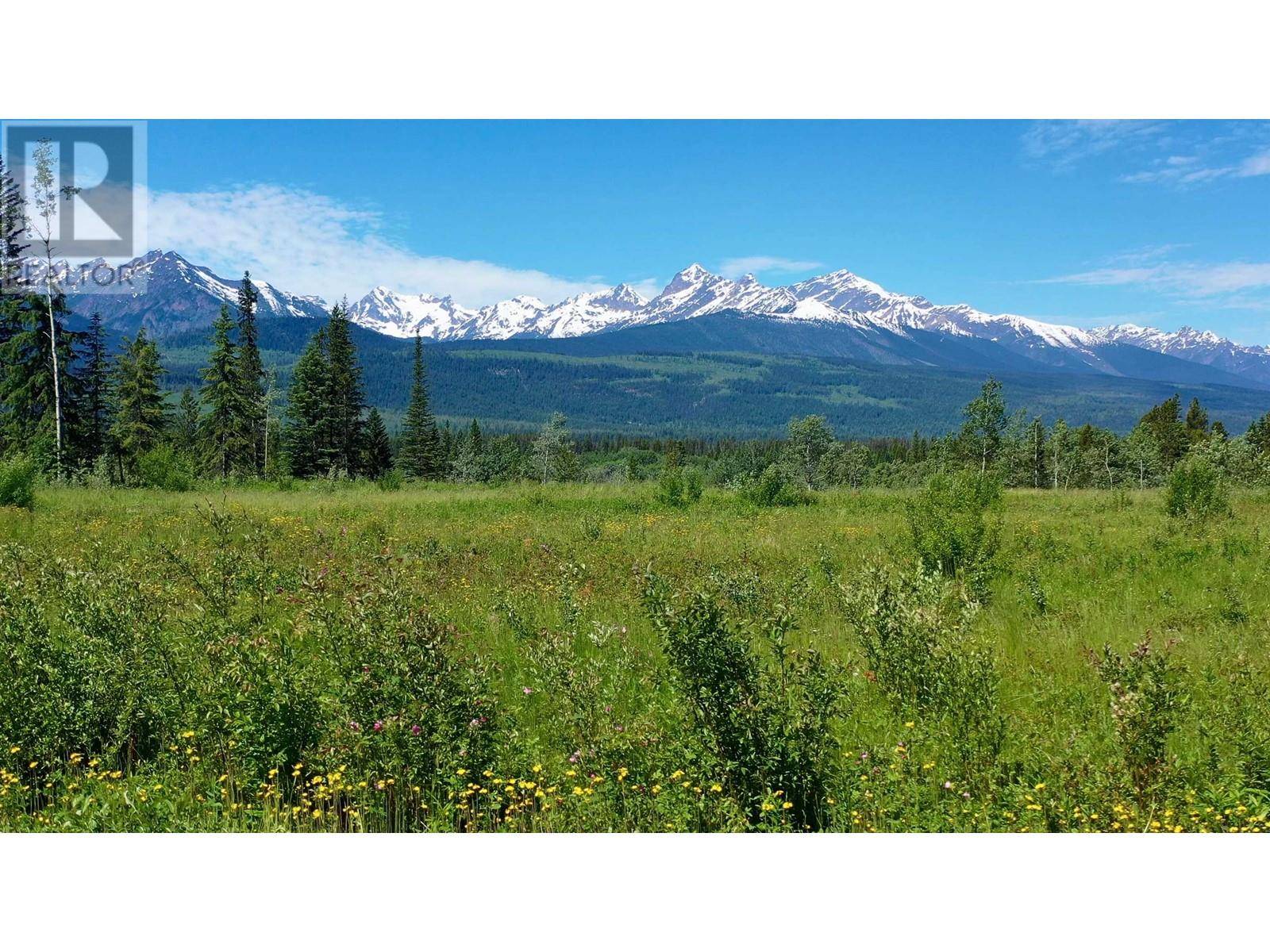 Valemount, BC V0E2Z0,3 O'DWYER RD #LOT