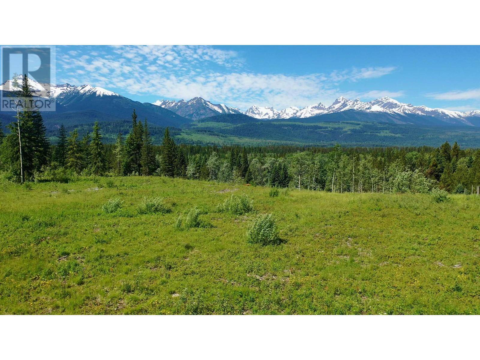 Valemount, BC V0E2Z0,3 O'DWYER RD #LOT